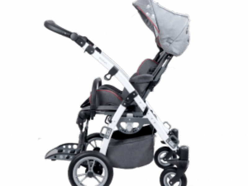grizzly disability buggy with parent facing seat